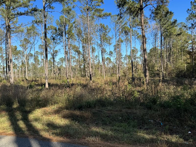 Spacious Lot for Sale : Macon : Monroe County : Georgia