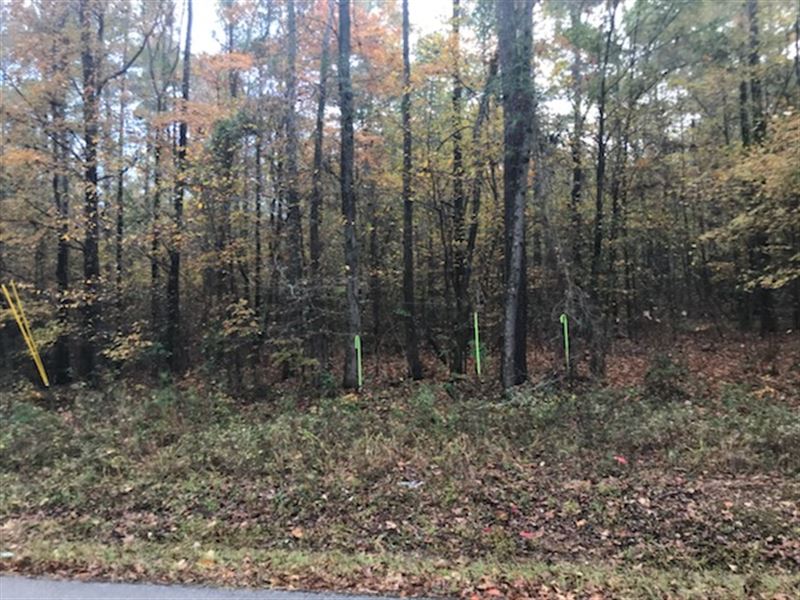 Spacious Lot for Sale : Macon : Monroe County : Georgia