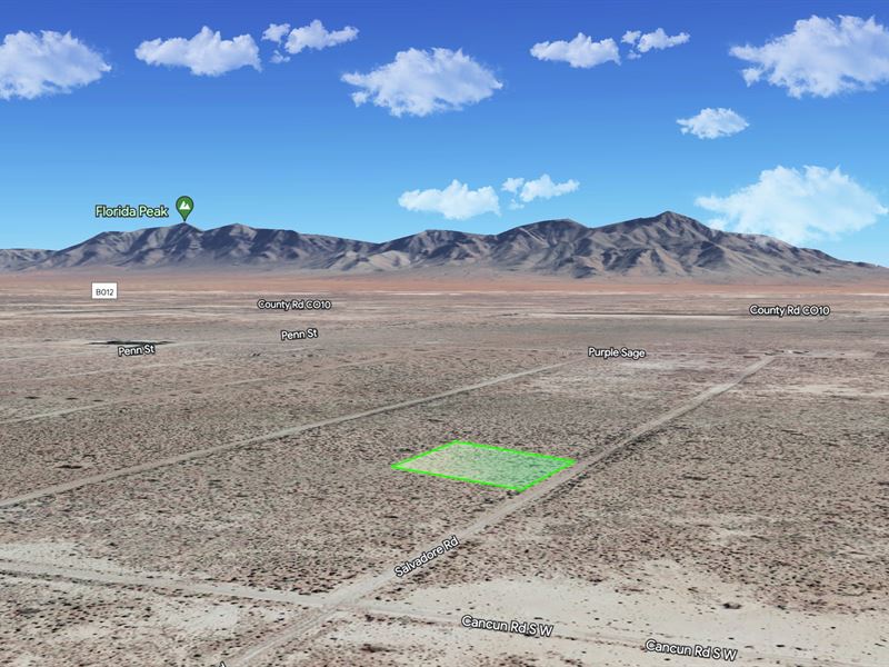 .55 Ac Luna County, NM $49 Down : Deming : Luna County : New Mexico