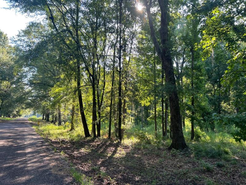 3.45 Acre Homesite Opportunity : Cecil : Montgomery County : Alabama