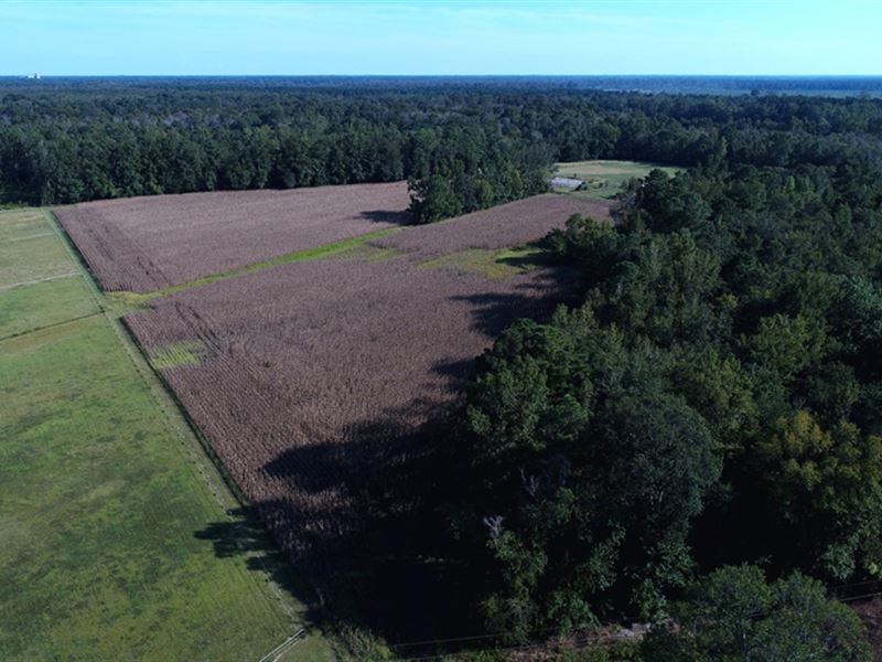 Lovely Farm with Homesite : Lumberton : Robeson County : North Carolina