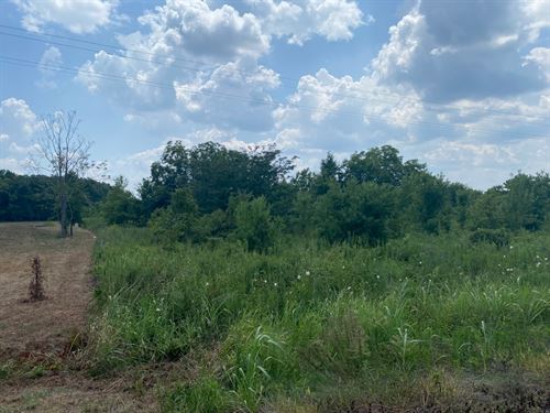 Louisiana Land for Sale : LANDFLIP