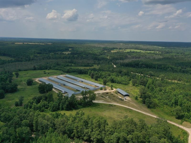 Denmar Commercial Egg Farm : Jefferson : Chesterfield County : South Carolina