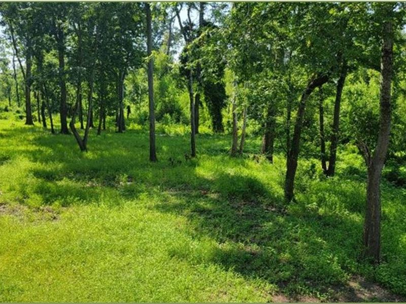 5 Acres On Old River in Concordia : Vidalia : Concordia Parish : Louisiana