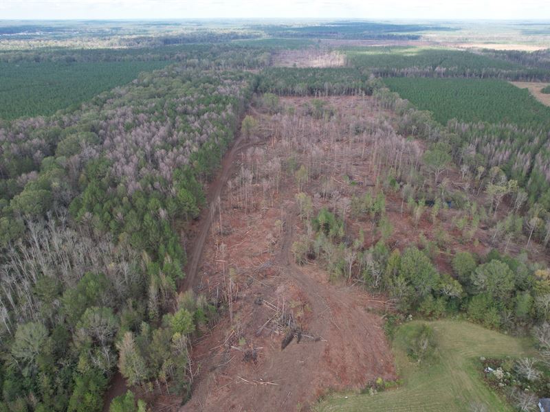 74.42 Acres in Rankin County in Pel : Pelahatchie : Rankin County : Mississippi