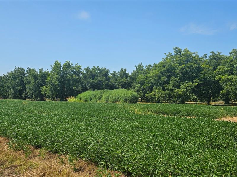 13.32 Acres in Bolivar County, MS : Cleveland : Bolivar County : Mississippi