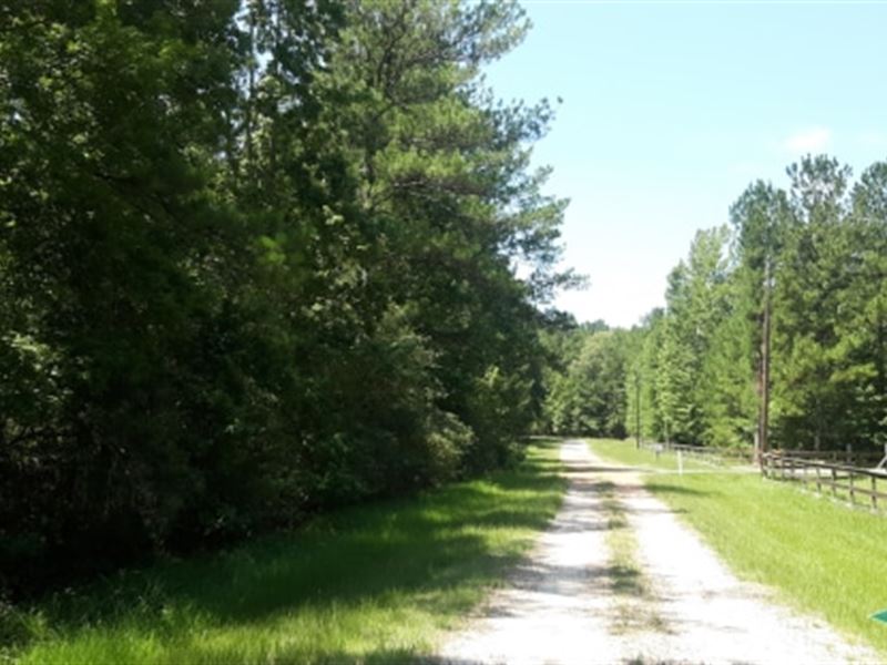 108.6 Ac Timberland for Home Site : Corrigan : Polk County : Texas