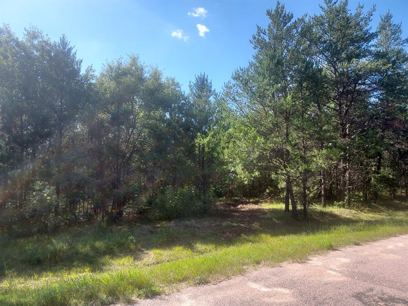 3 Acres Near Rome in Central WI : Wisconsin Rapids : Wood County : Wisconsin