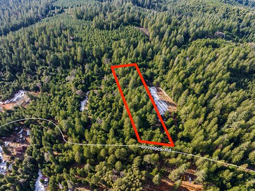 Butte County California Land for Sale : LANDFLIP