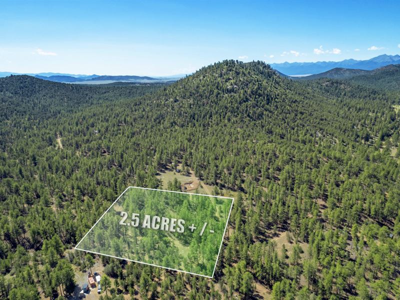 2.5 Wooded Acres in Texas Creek, CO : Cotopaxi : Fremont County : Colorado