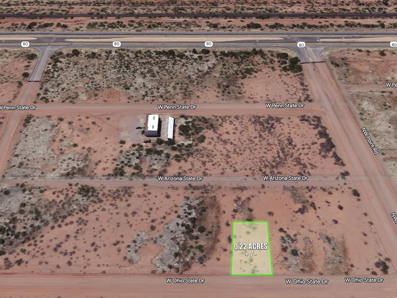 Own 0.22 Ac in Arizona, $99/Mo : Douglas : Cochise County : Arizona