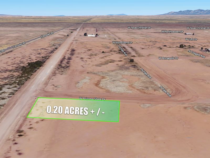 Own 0.20 Ac in Arizona, $99/Mo : Douglas : Cochise County : Arizona