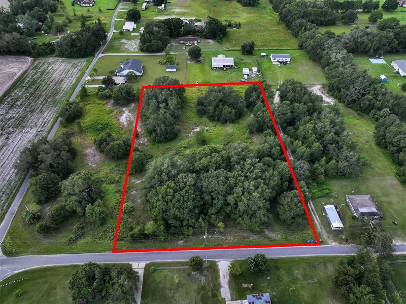 Prime 2.291 Acre Land : Plant City : Hillsborough County : Florida