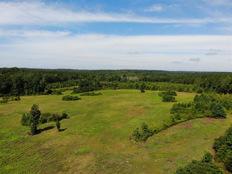 Coleman Creek Farm : Luthersville : Meriwether County : Georgia