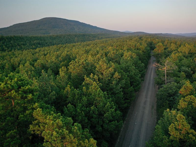 Packsaddle Creek : Waldron : Scott County : Arkansas