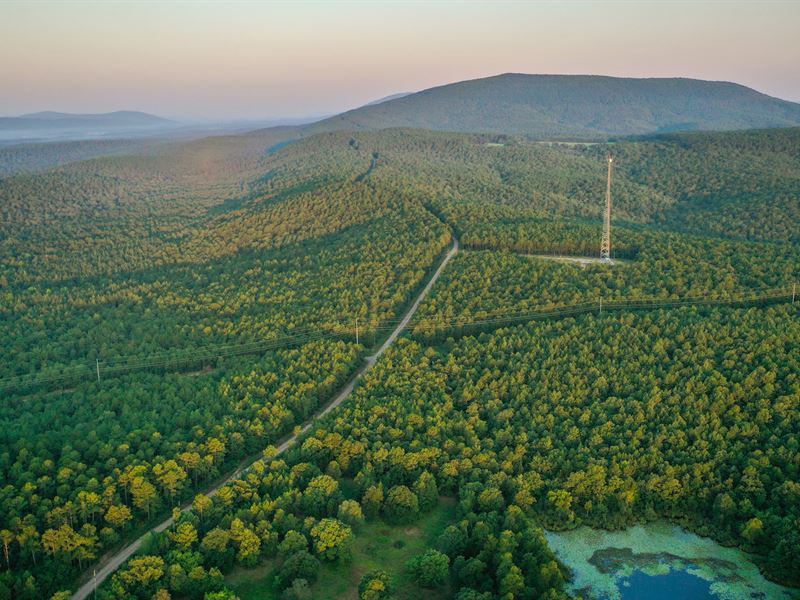 Poteau Mountain : Waldron : Scott County : Arkansas