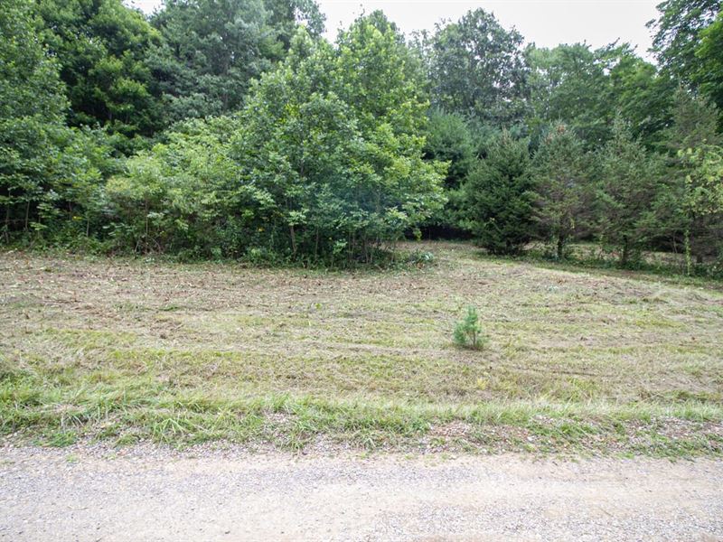 Meadowood Trail, Lot 2, 1 Ac, Ha : Cadiz : Harrison County : Ohio