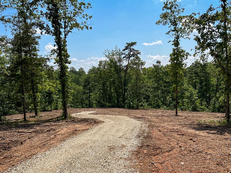 Owner-Financed County Road Frontage : Bucyrus : Texas County : Missouri