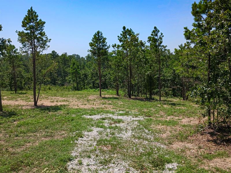 The Potential is Endless : Bucyrus : Texas County : Missouri