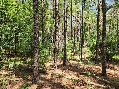 Elmore County Alabama Land for Sale : Page 2 of 2 : LANDFLIP