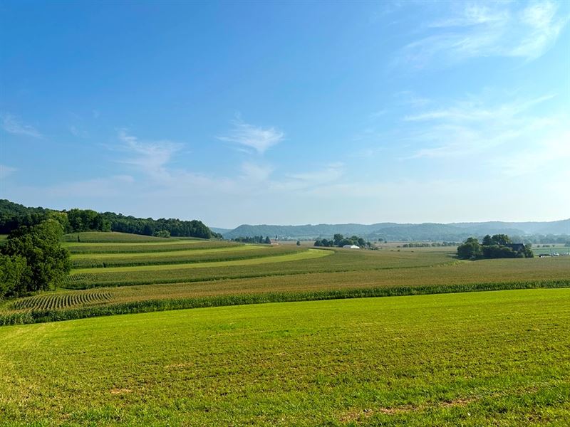 Mill Valley Farmland : Muscoda : Richland County : Wisconsin