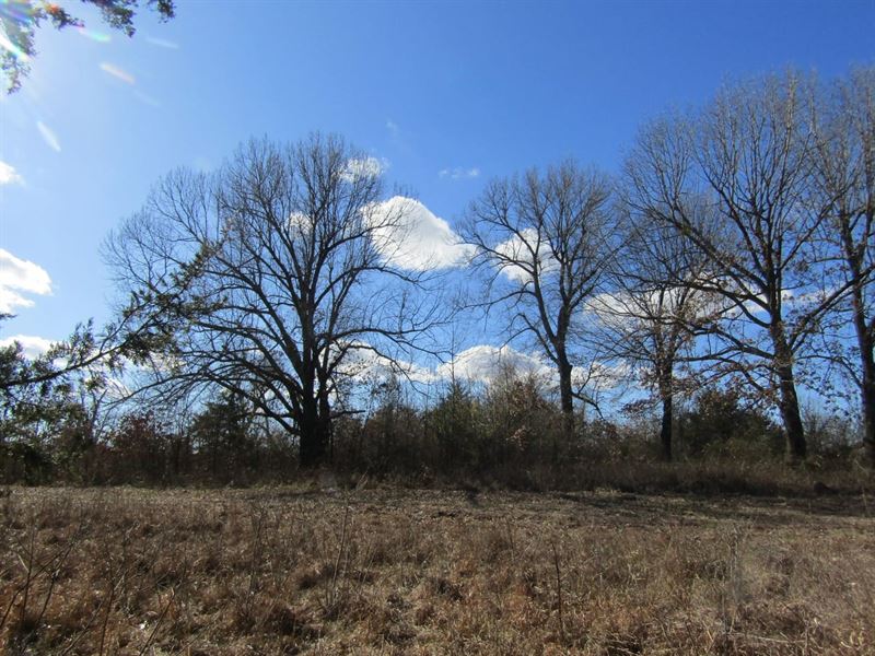 Rolling Hill Ranches Development Ph : Hugo : Choctaw County : Oklahoma