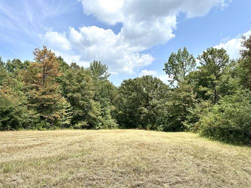 Dallas County Alabama Land for Sale : LANDFLIP