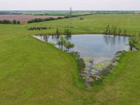 Hilltop Ranch in Milam County : Burlington : Milam County : Texas