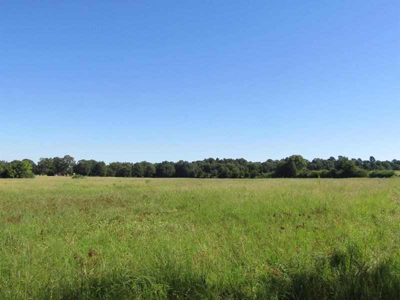 Country Land Near Hugo Choctaw Coun : Hugo : Choctaw County : Oklahoma