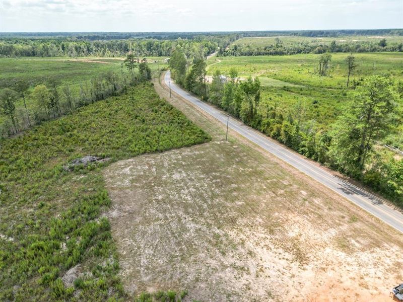 36.65 Acres Land for Sale Amite Cou, Land for Sale in Mississippi