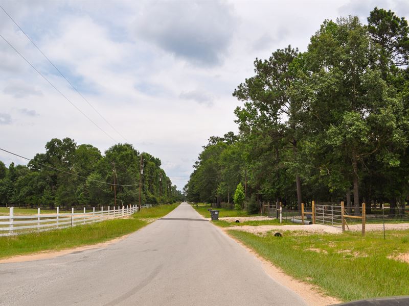 34 Acres, Tommy Smith Road : Conroe : Montgomery County : Texas