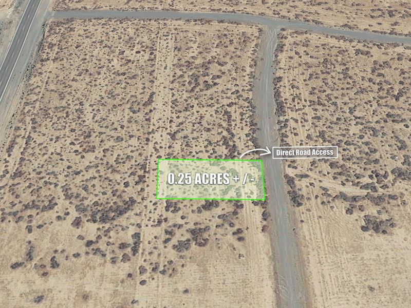 .25 Acre Lot in Pahrump, NV : Pahrump : Nye County : Nevada