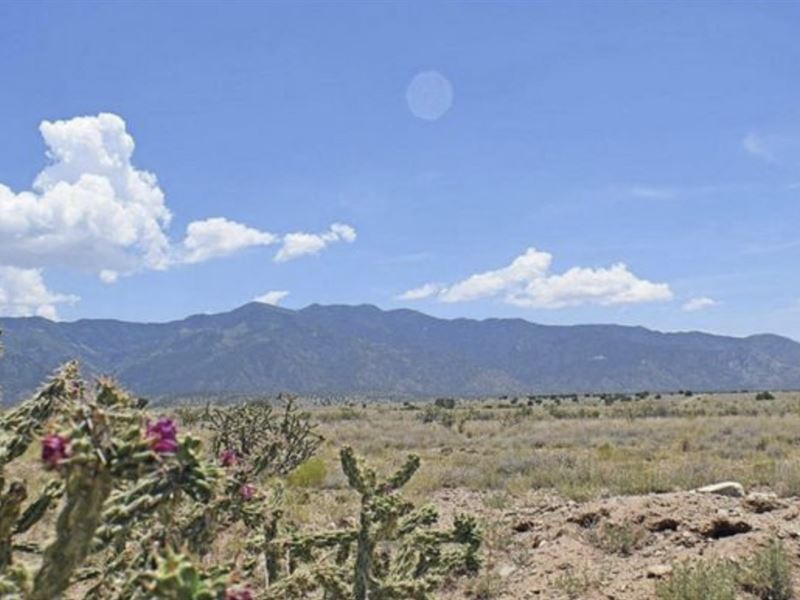 Almost a Half Acre, Only $39/Mo : Belon : Valencia County : New Mexico