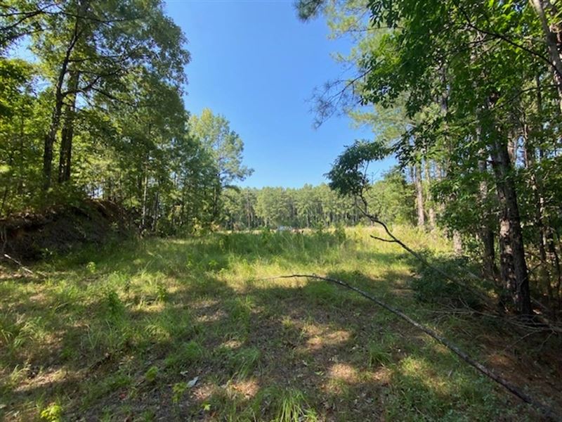 1 Acre Near National Forest : Roxie : Franklin County : Mississippi