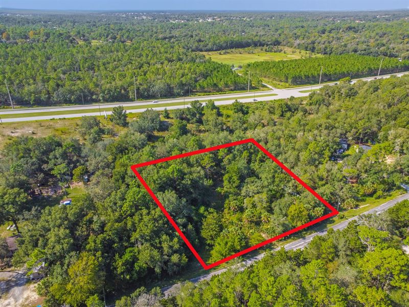 1670 E Amberjack Drive : Hernando : Citrus County : Florida