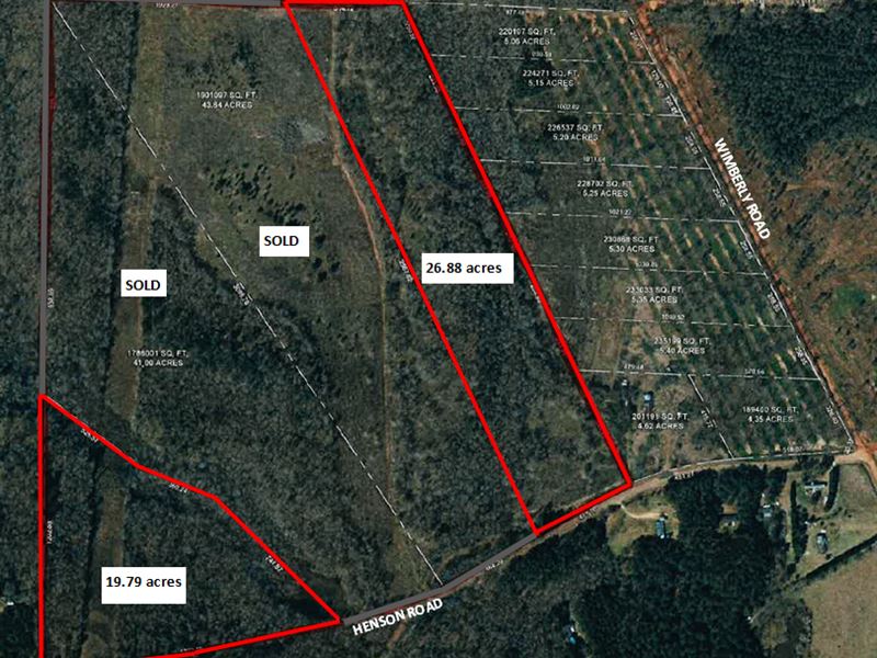 46+/- Ac Henson Rd Houston County : Hawkinsville : Houston County : Georgia