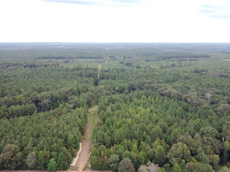 700 Acres Land for Sale Lincoln Par : Simsboro : Lincoln Parish : Louisiana