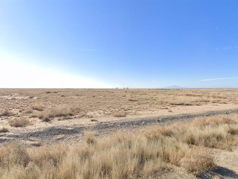 .25 Acre in NM $29/Month, Grab It : Los Lunas : Valencia County : New Mexico