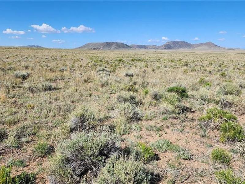 Rio Grande Scenic.21-Acre Lot 938 : Antonito : Costillo County : Colorado