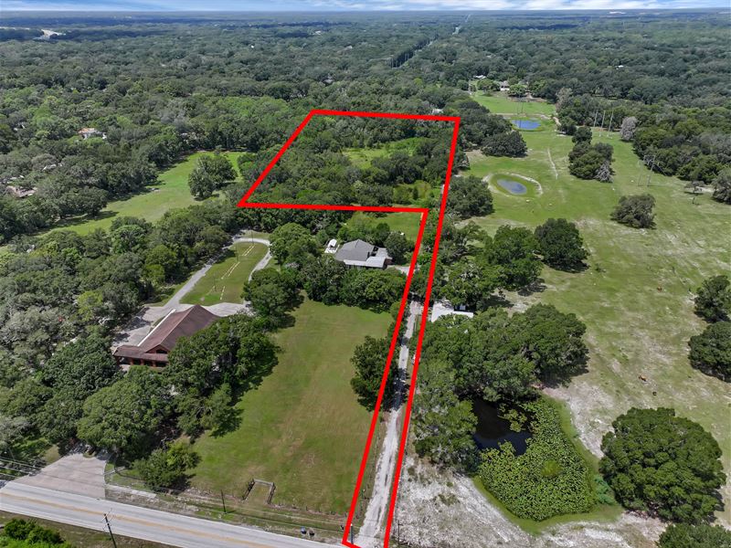 Remarkable 4.9 Acre Land Parcel : Lutz : Hillsborough County : Florida