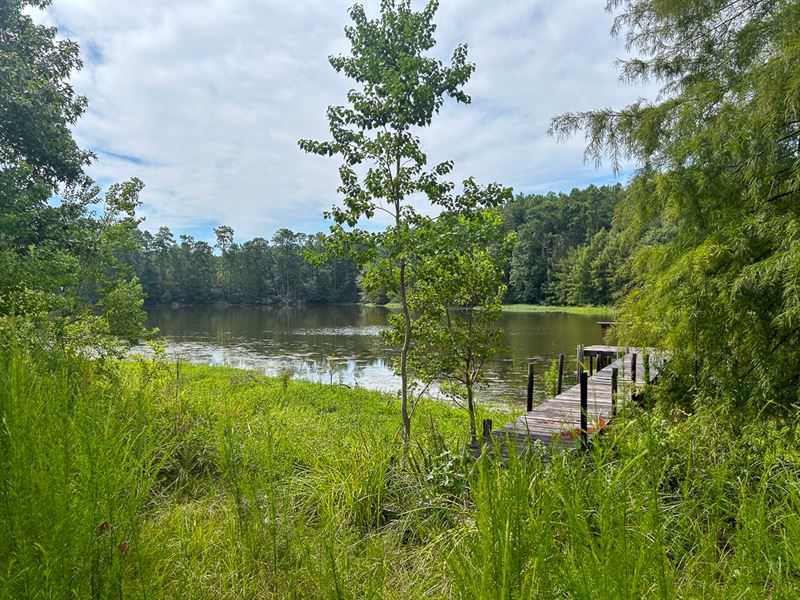 36.65 Acres, 191 S Birch Circle : Zavalla : Angelina County : Texas