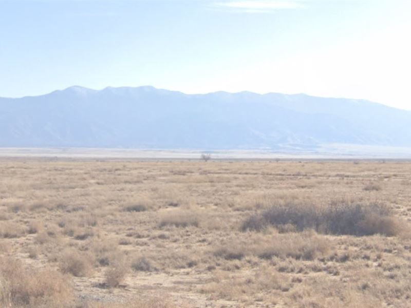 Desert Oasis, 0.25 Acre, $29/Mo : El Cerro-Monterey Park : Valencia County : New Mexico