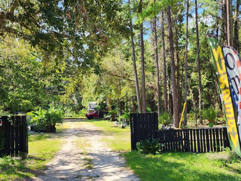 Land Hacking at Its Finest : Hawthorne : Alachua County : Florida