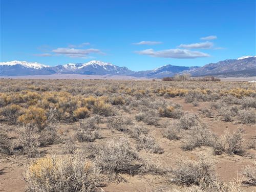 Alamosa County Colorado Land for Sale : LANDFLIP