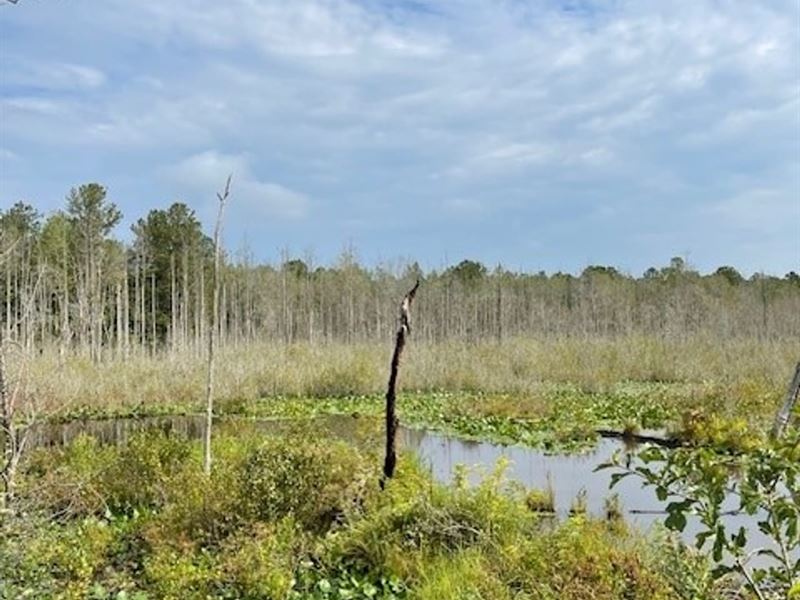 Hidden Gem in Aiken County : Salley : Aiken County : South Carolina