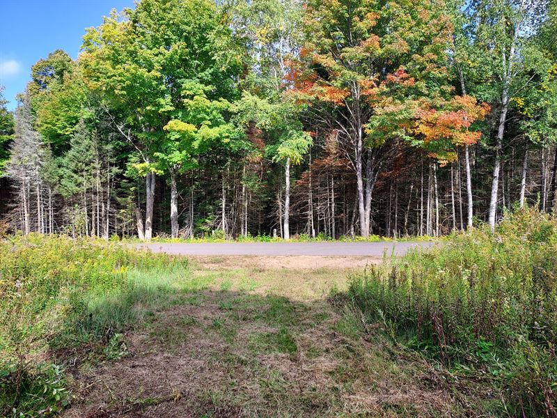 5.2 Acres Near Phelps Eagle River : Phelps : Vilas County : Wisconsin