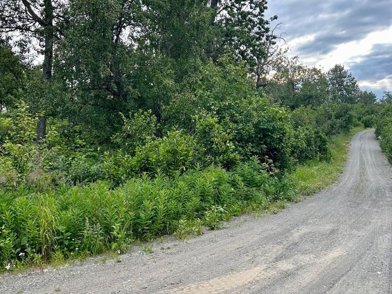 Corner Lot 1.97 Acre with View : Nikiski : Kenai Peninsula Borough : Alaska