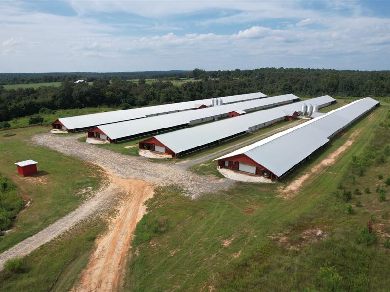 Breezy Bottom Mega Broiler Farm : Fort Valley : Peach County : Georgia