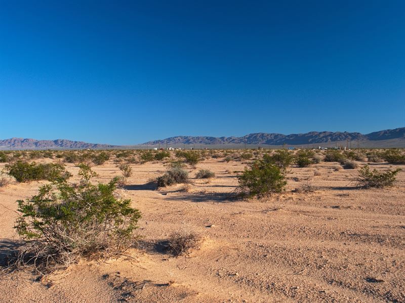 Prime Property, Yours Today : Twentynine Palms : San Bernardino County : California