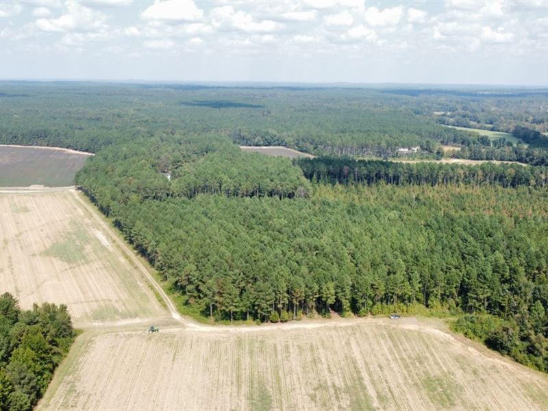 64 Acres in Eupora in Webster Count : Eupora : Webster County : Mississippi